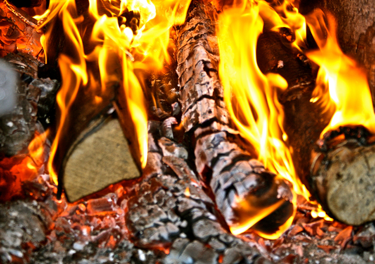 Картинка с сайта https://anodkatod.ru/ogon/polenya/