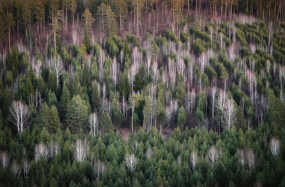 Фотоконкурс "Самая красивая страна". Источник фото: https://rgo.ru