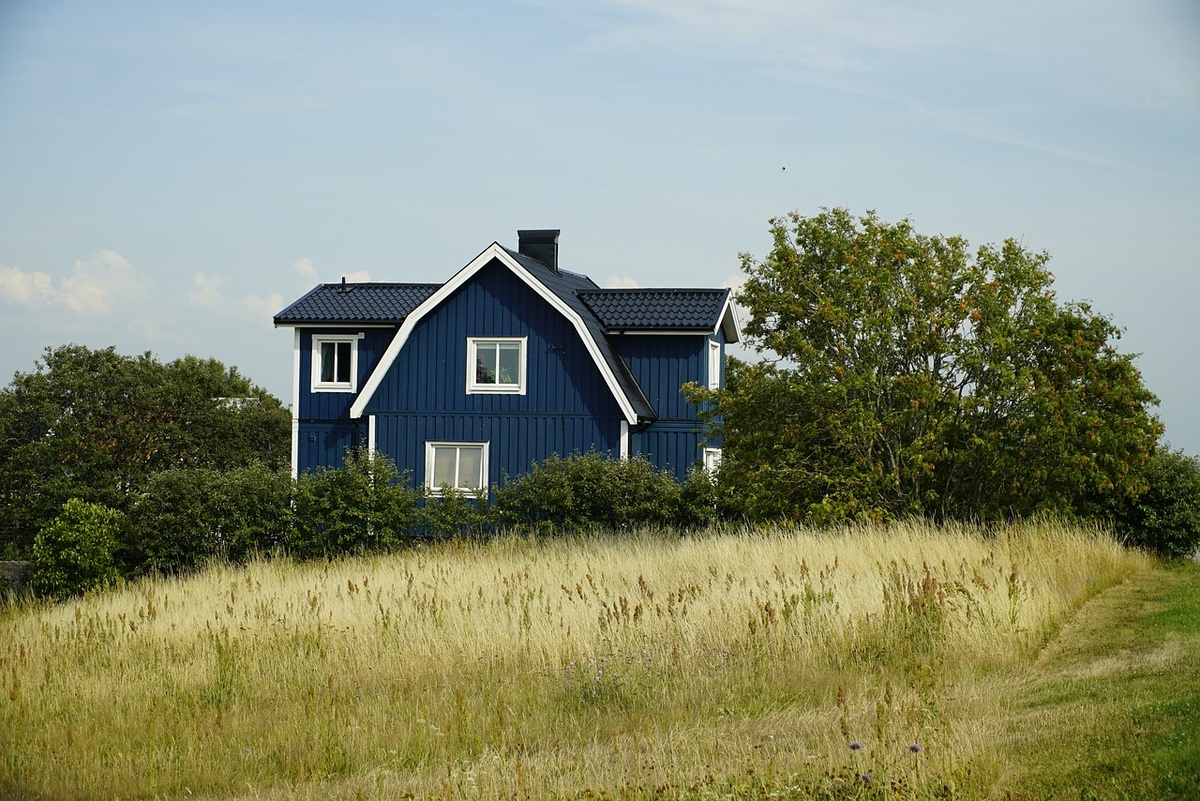    Источник: pixabay.com