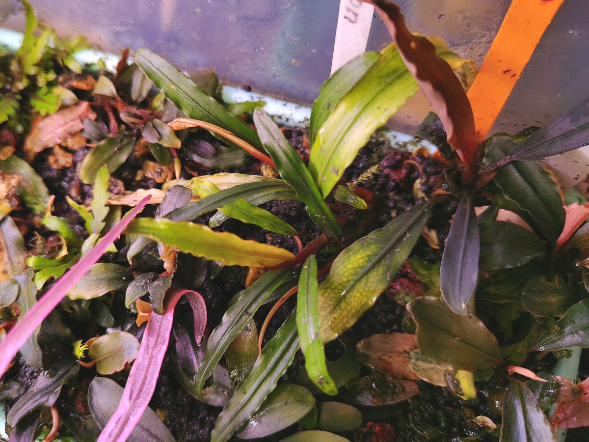 В теплице Христенко Юрия