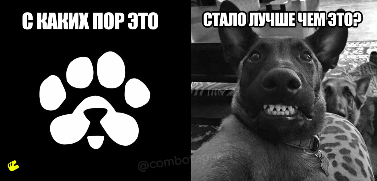 BLUM, Notcoin и DOGS: Почему PAWS — Ваш Шанс Сорвать Криптоджекпот?