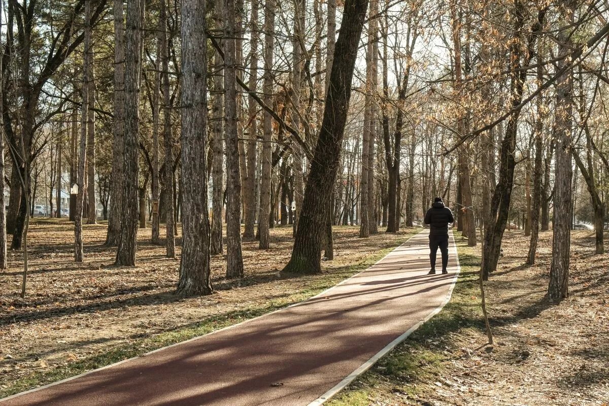 Утренние пробежки - хорошо, но не менее полезно ходить пешком не только по выходным, но и в будни. Фото: Михаил Ступин