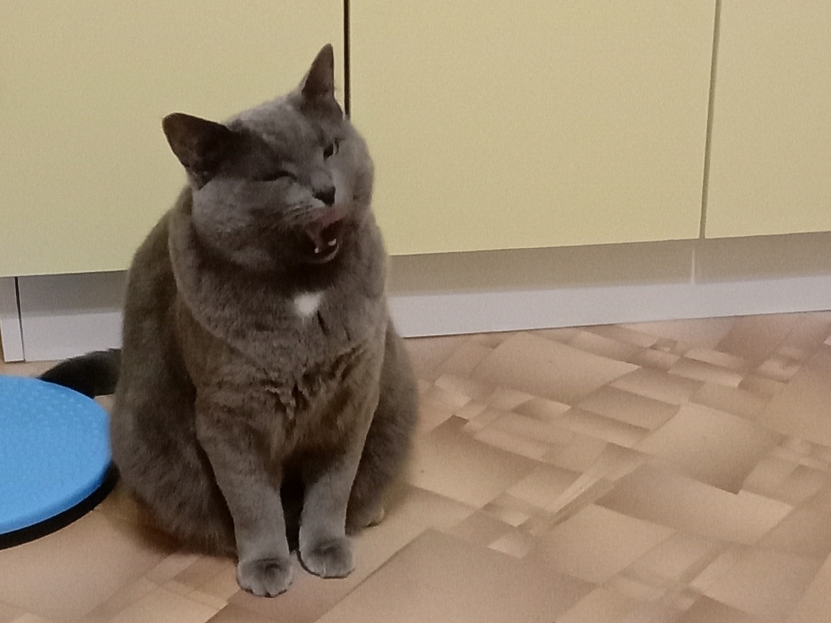 Не нужно нам никого, самим есть нечего 