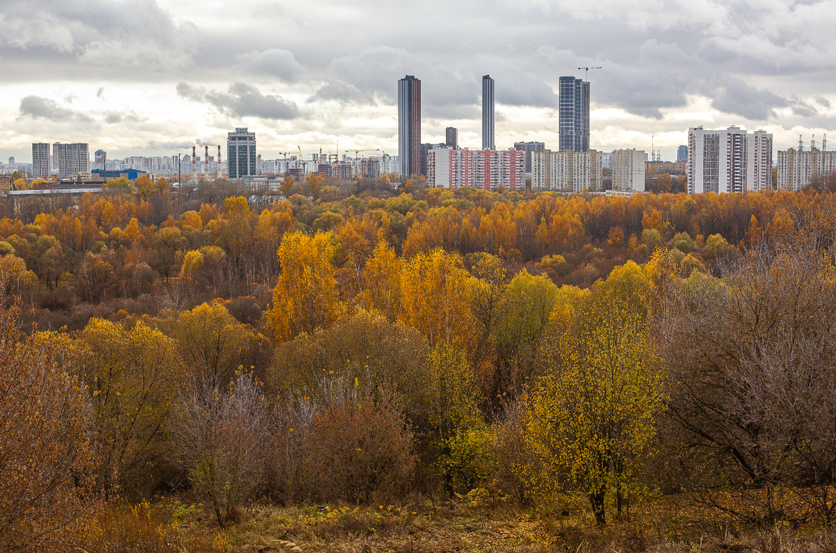 Памятник природы "Сходненский ковш". Москва. Фото автора статьи 