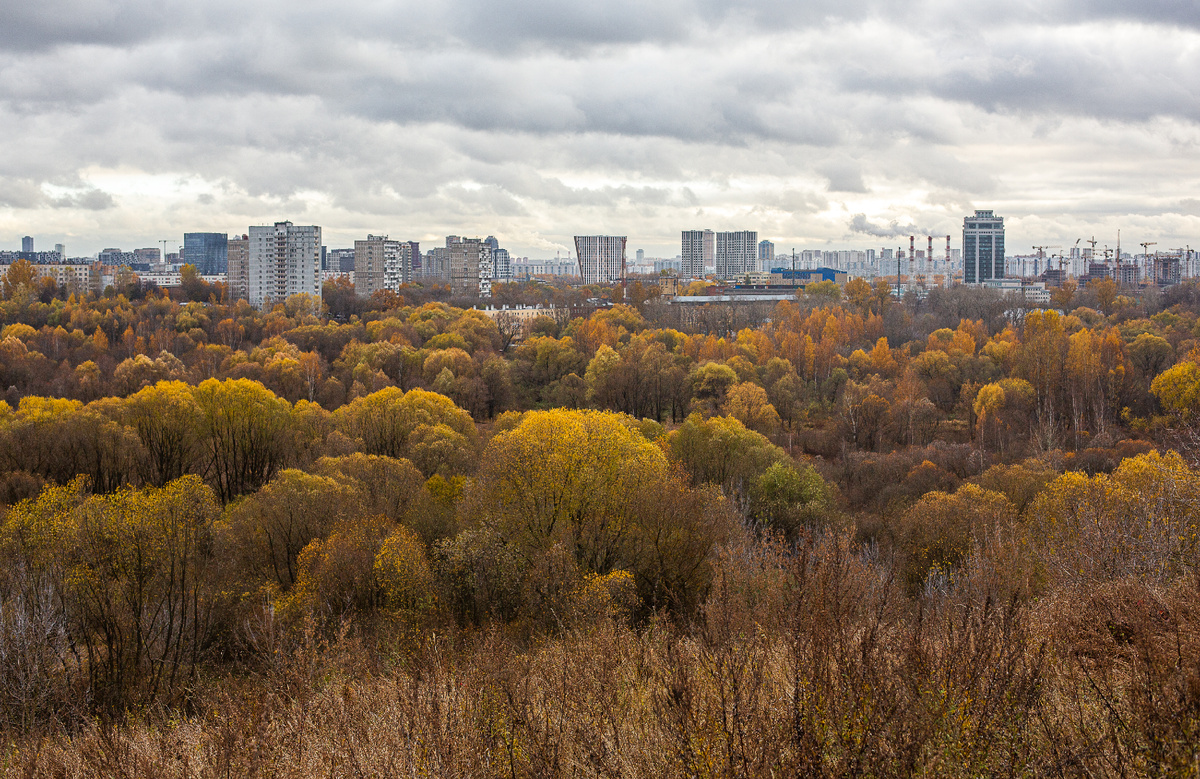Памятник природы "Сходненский ковш". Москва. Фото автора статьи  