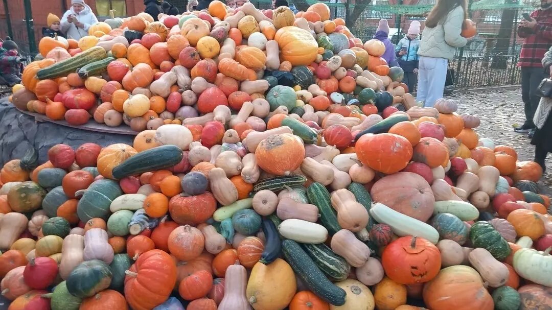     Источник: Зоопарк г. Екатеринбург