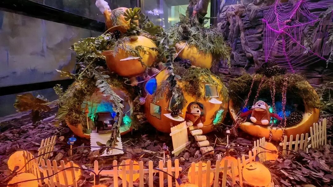     Источник: Зоопарк г. Екатеринбург/ Кира Праздничкова и Елена Дронова