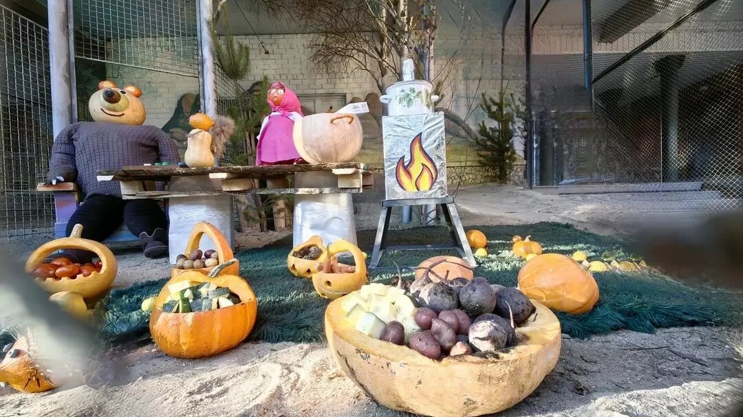     Источник: Зоопарк г. Екатеринбург/ Кира Праздничкова и Елена Дронова