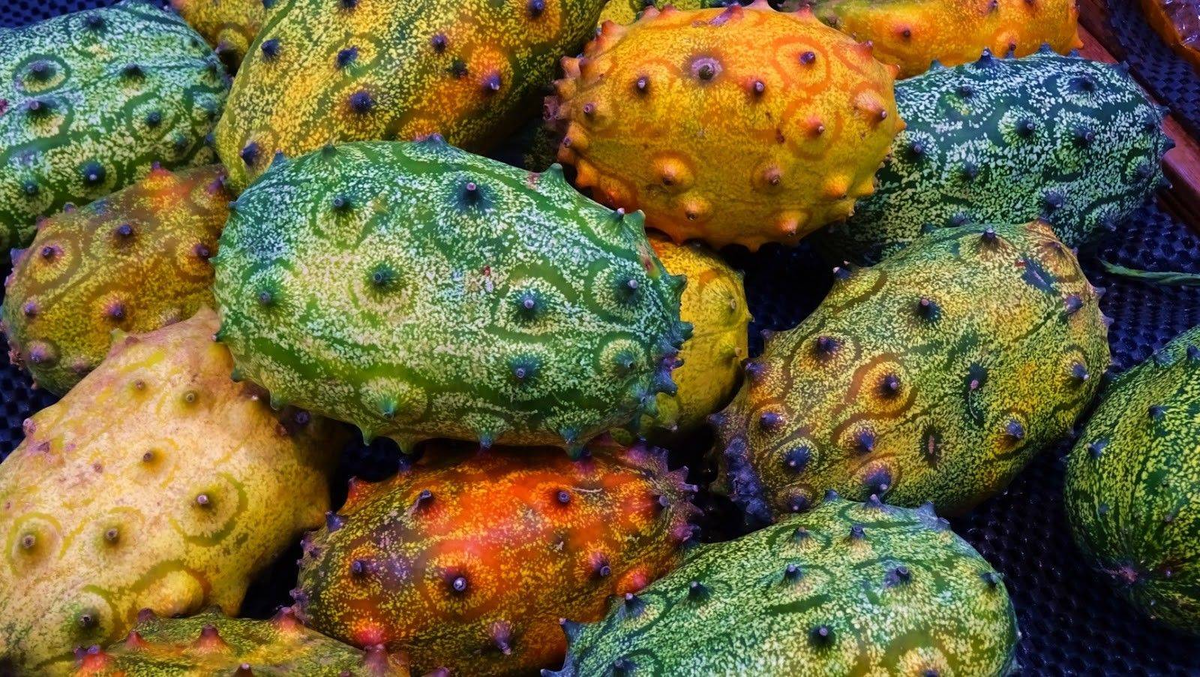 Семена кивано "зеленый дракон". Cucumis metuliferus. Экзотический огурец. Кивано семена. Кивано африканский огурец.