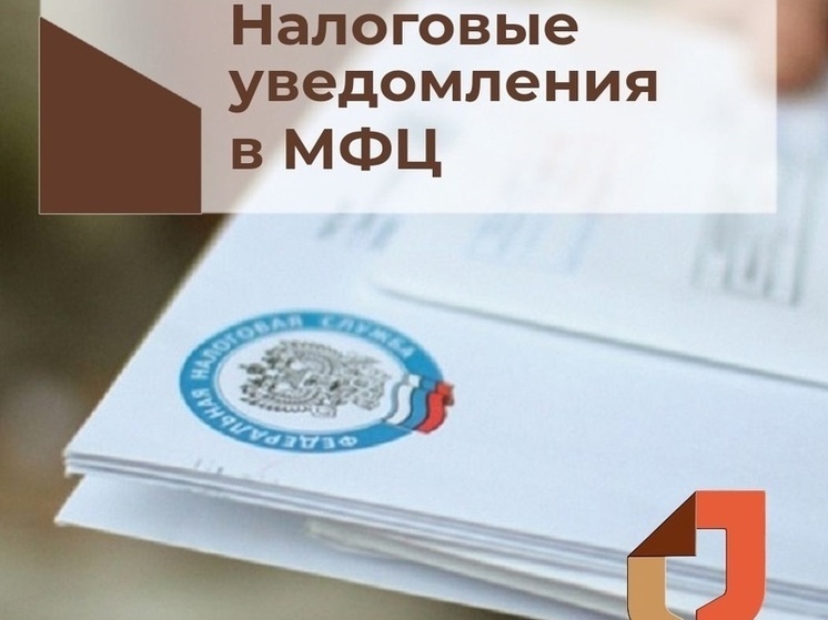 Можно заплатить налог в мфц. Можно заплатить налог в мфц