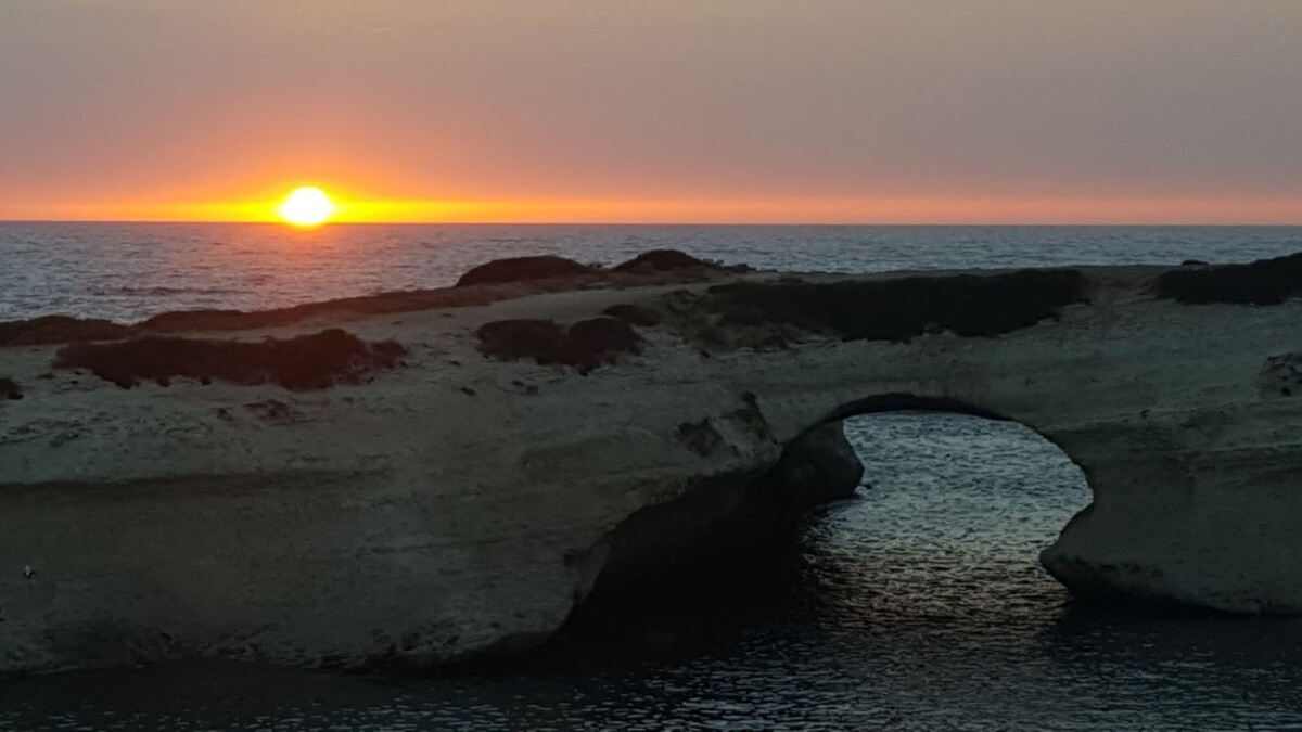 Сон про ныряние под решетку, из рубрики "Психологические сны"