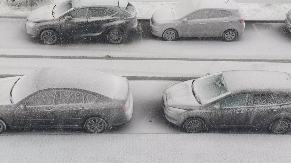     Источник: newsnn.ru