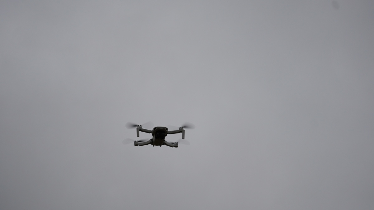 Светлана Мулыкина📷
