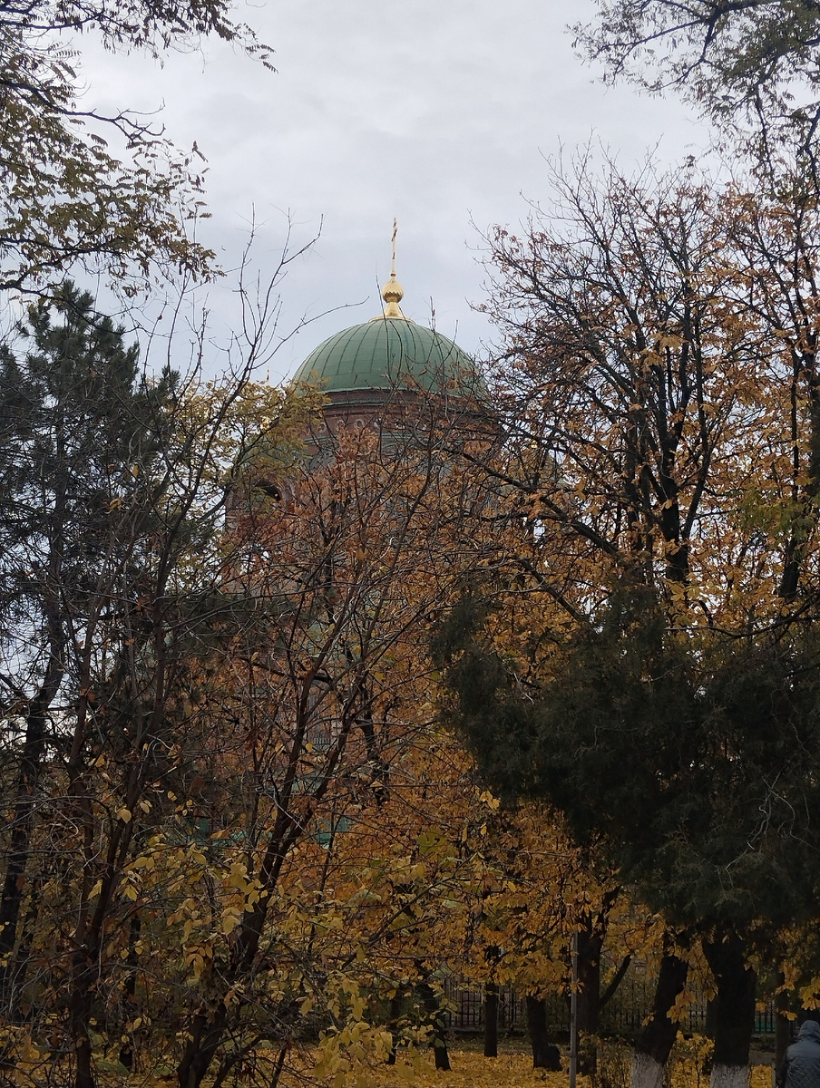 Храм Александра-Невского. Хмурый ноябрь 