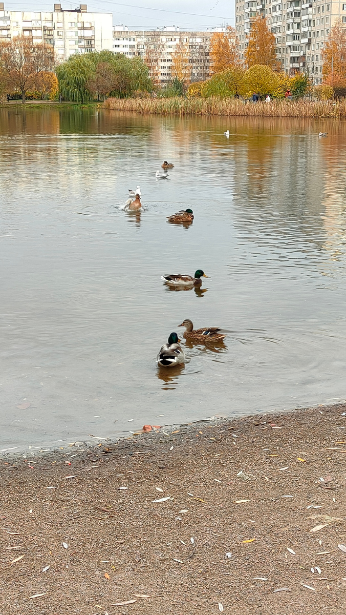 Фото автора 