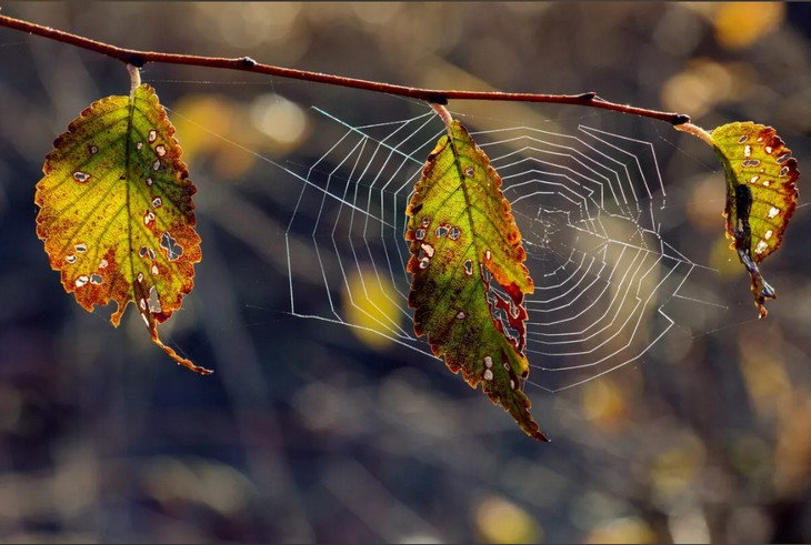Фото Алексея Коверзнева