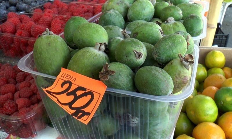    Видео канала «Кубань 24»