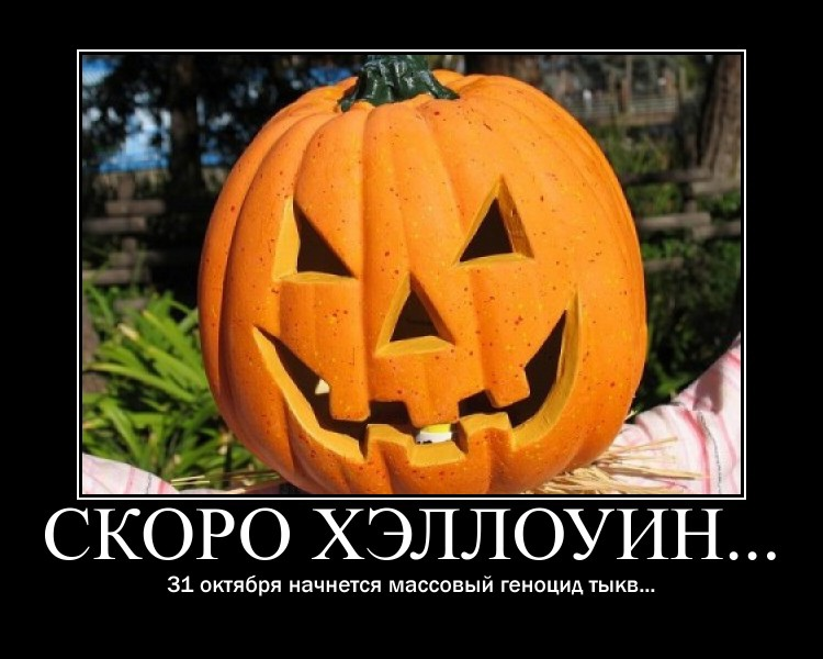 Картинка взята из открытого доступа в сети Интернет