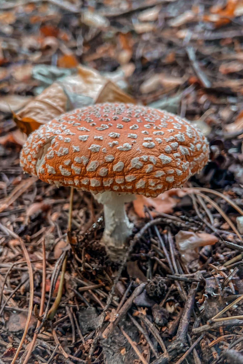 Фото автора.