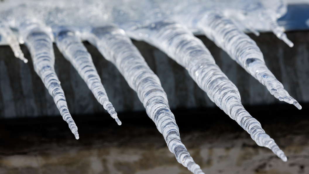    Фото: Sergey Elagin/Business Online/Globallookpress