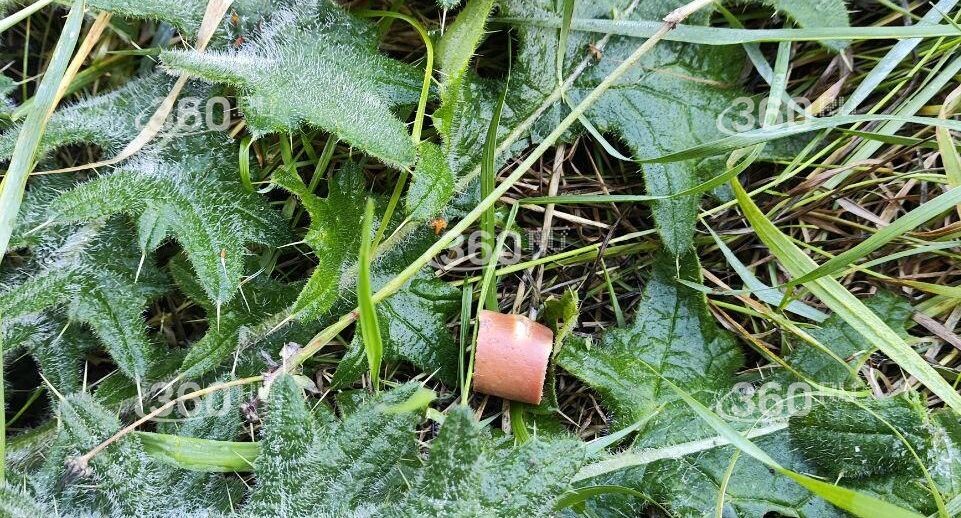    Телеканал «360»