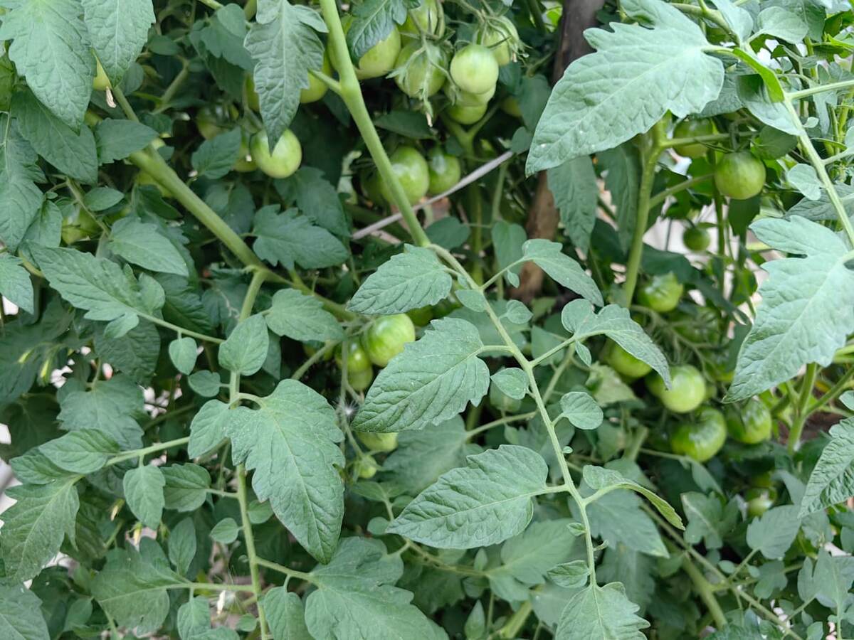 Фото Натальи Мироновой