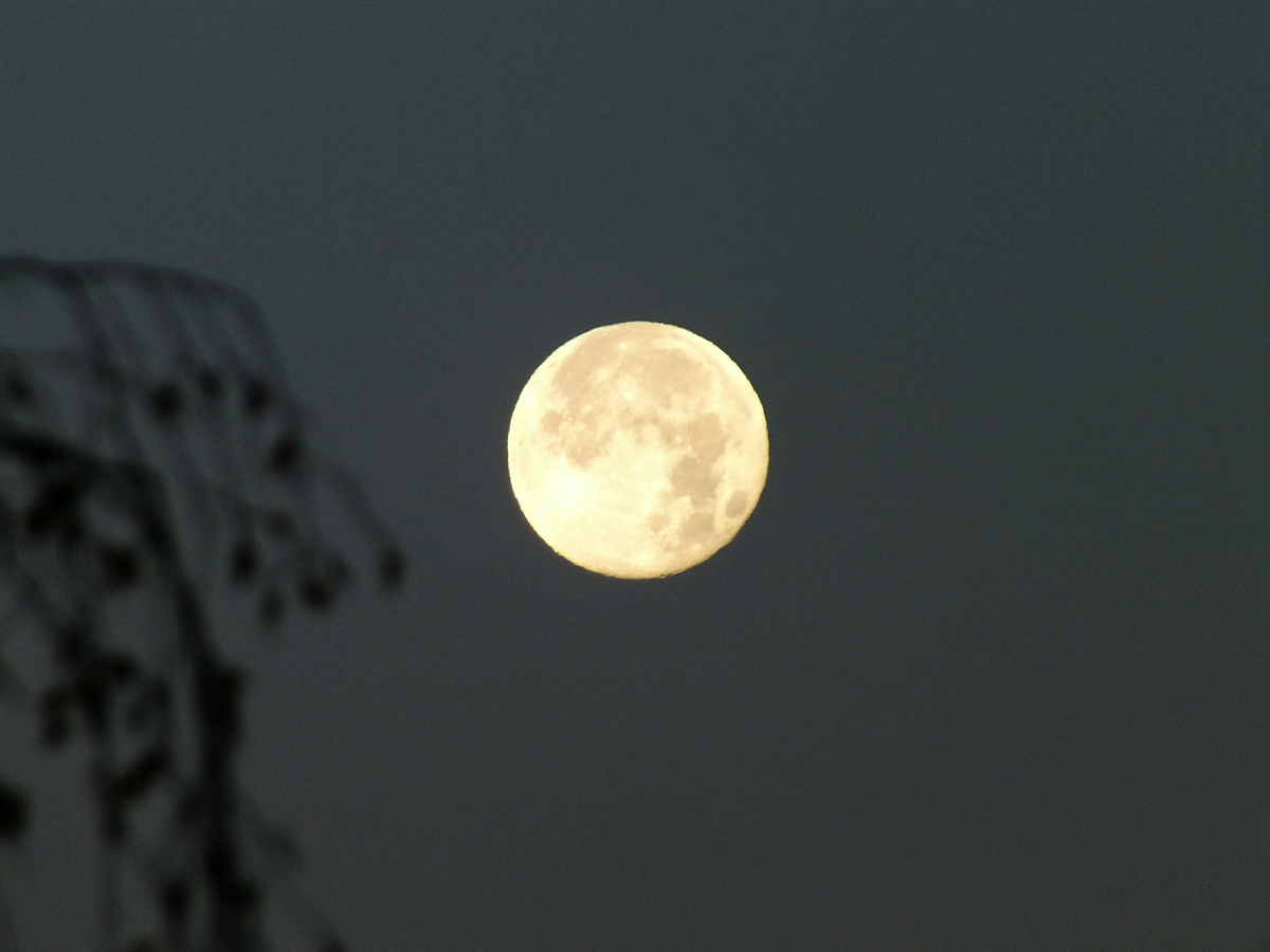 Victor Lisitsyn/Global Look Press