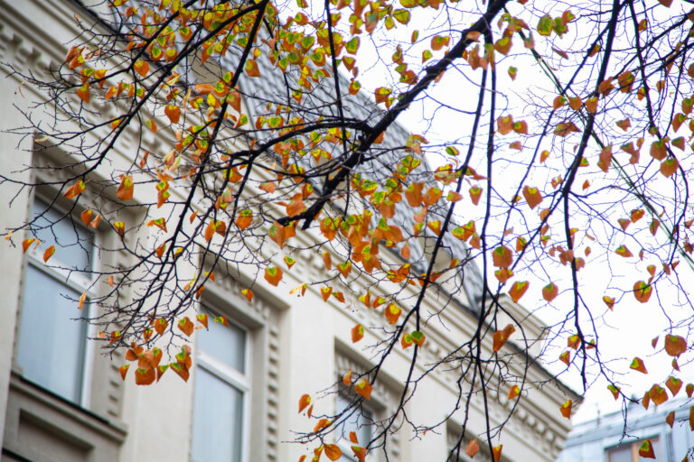    Фото: Общественная Служба Новостей Маргарита Салахова