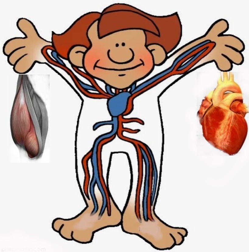 Подготовлено с использованием картинок Yandex