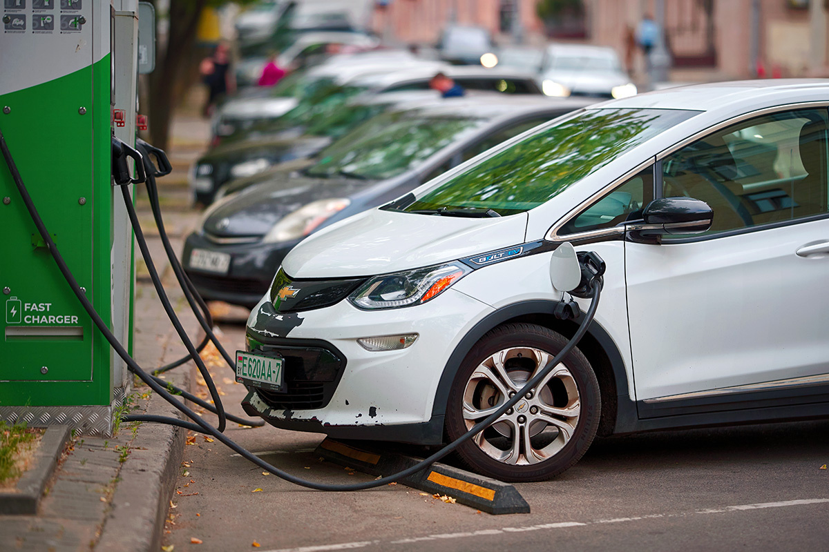    Фото: Tricky_Shark / Shutterstock.com