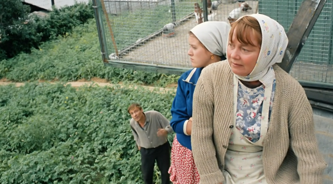 Кадр из кинофильма "Любовь и голуби".