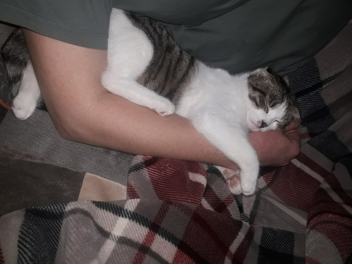 Самая милая девочка.