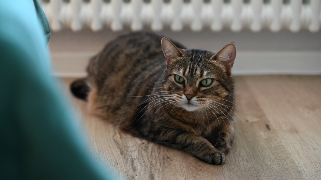    Helena Dolderer/dpa/Globallookpress