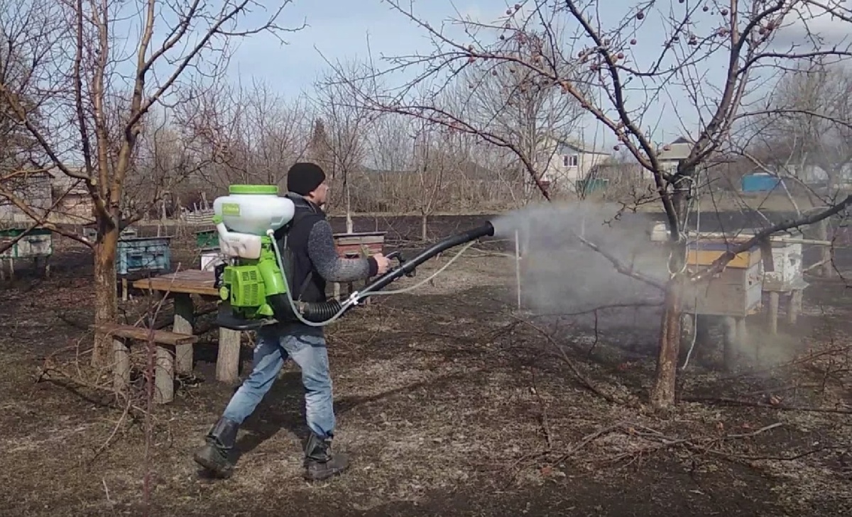 Если регулярно проводить обработки сада, можно существенно уменьшить количество болезней и вредителецй, и обеспечить здоровое, обильно плодоносящее состояние вашего сада