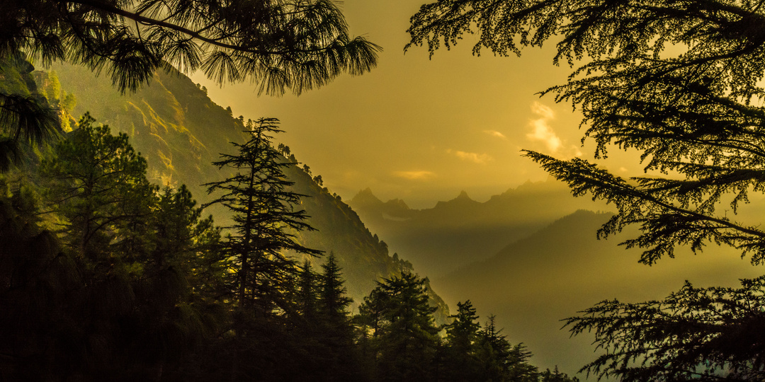 Впечатляющие походы в индийских Гималаях. #8 Кхирганга. Химачал Прадеш.