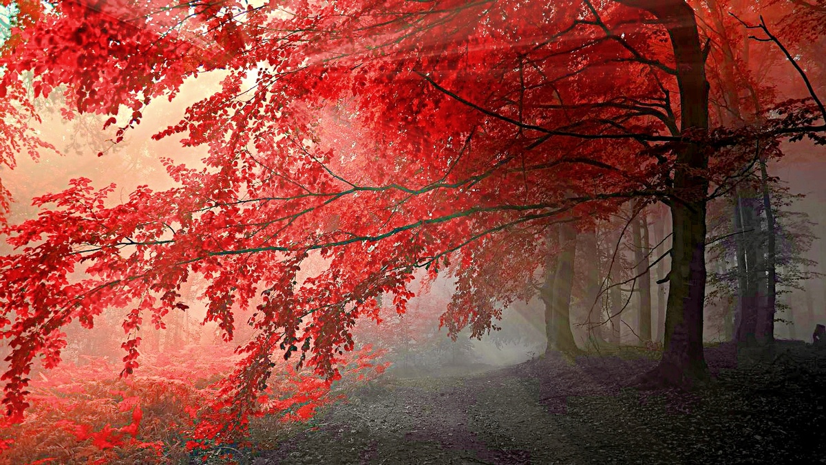 Фото взято из интернета.