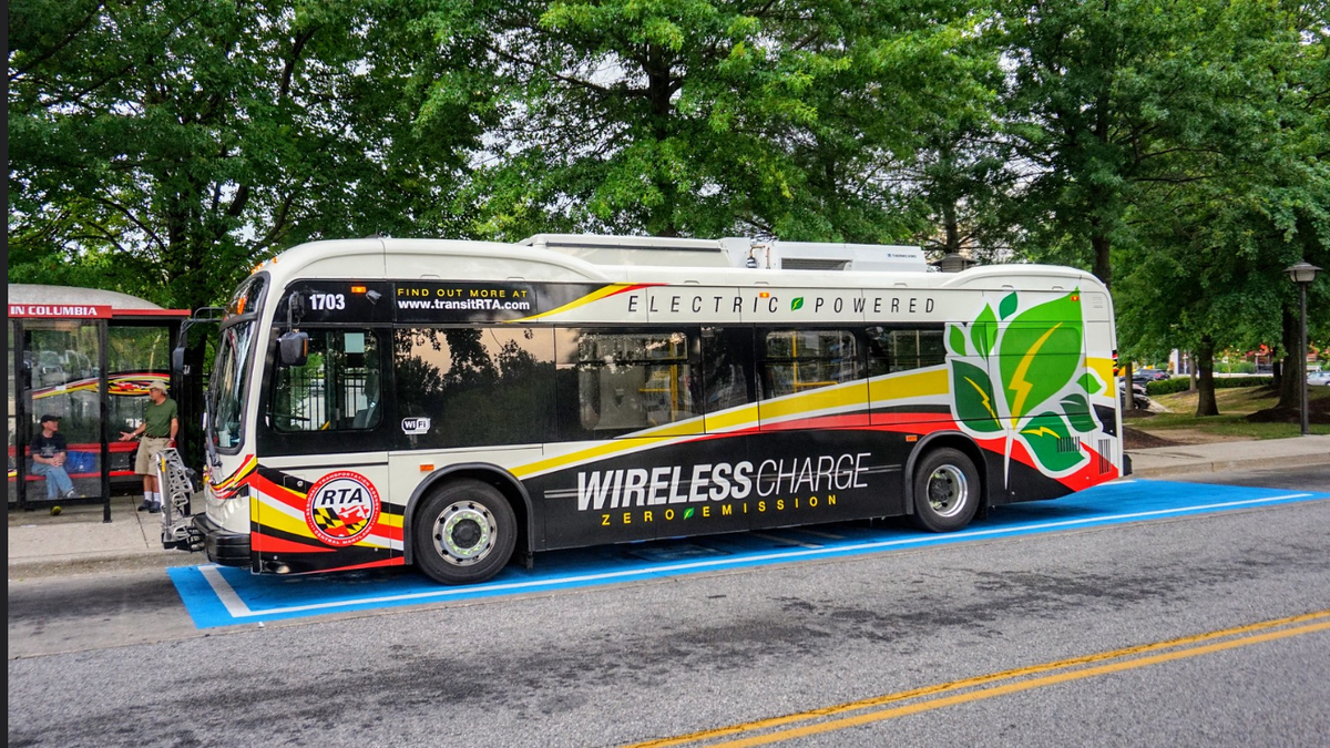 Фото из интернета