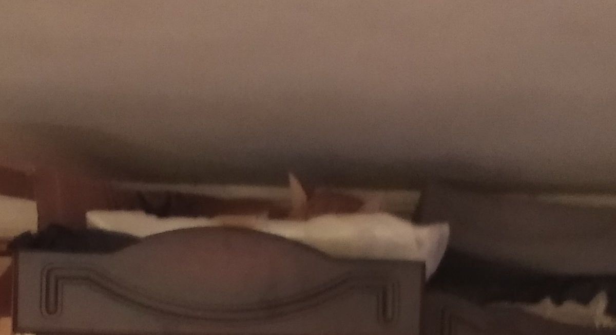 Личное фото