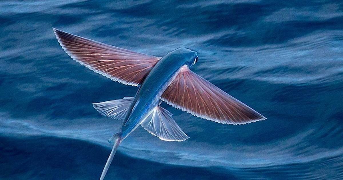 Взято с travelask.ru