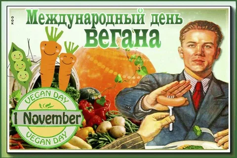 Фото из дзен