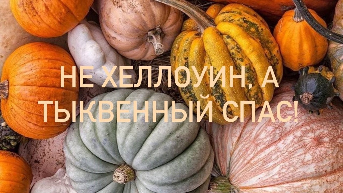 Для чего выращивают тыквы в таком количестве?