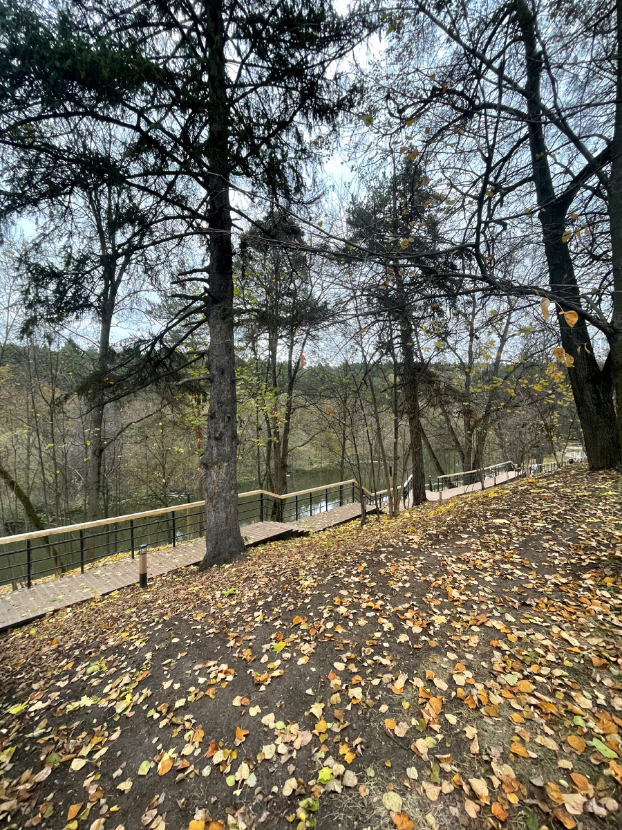 Тропа вдоль берега рек