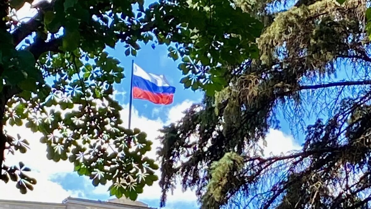     Источник: mkset.ru