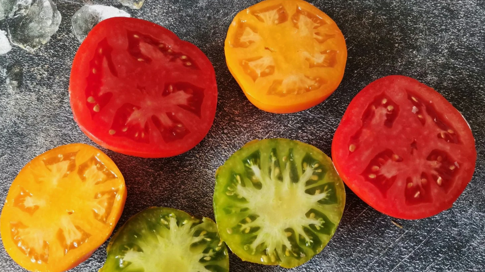 Разрез томатов старых сортов - посмотрите на мясистость и минимум пустот