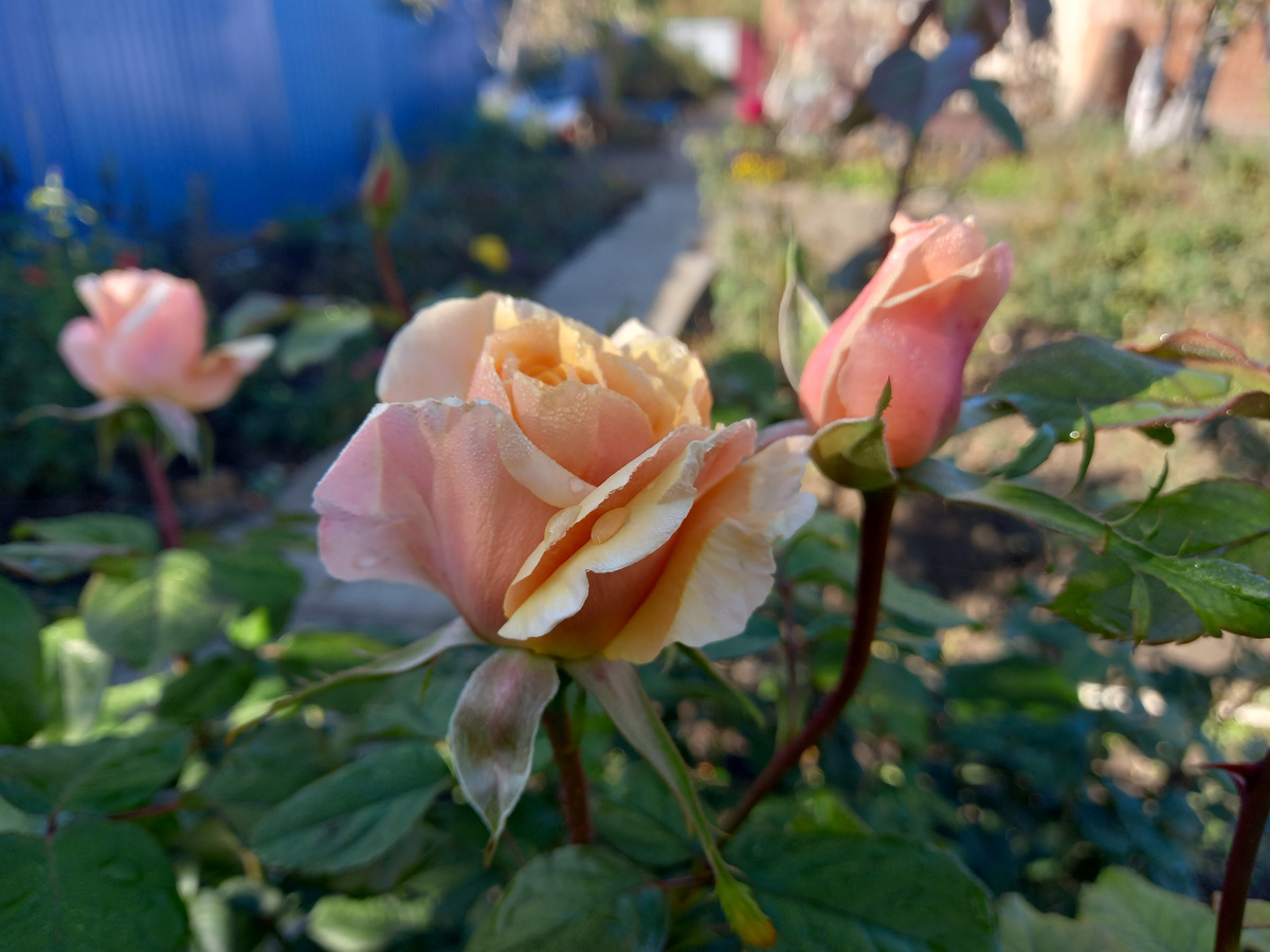 Это 30 октября 