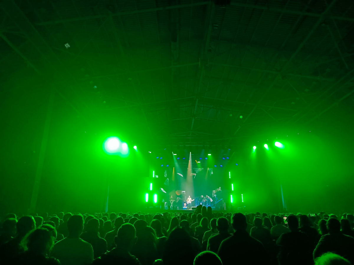 На концерте