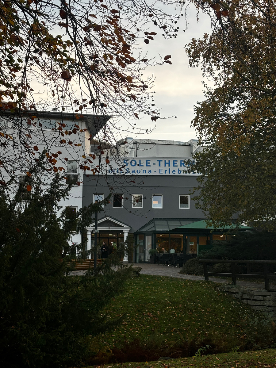 Вот он прячется в тени деревьев. 