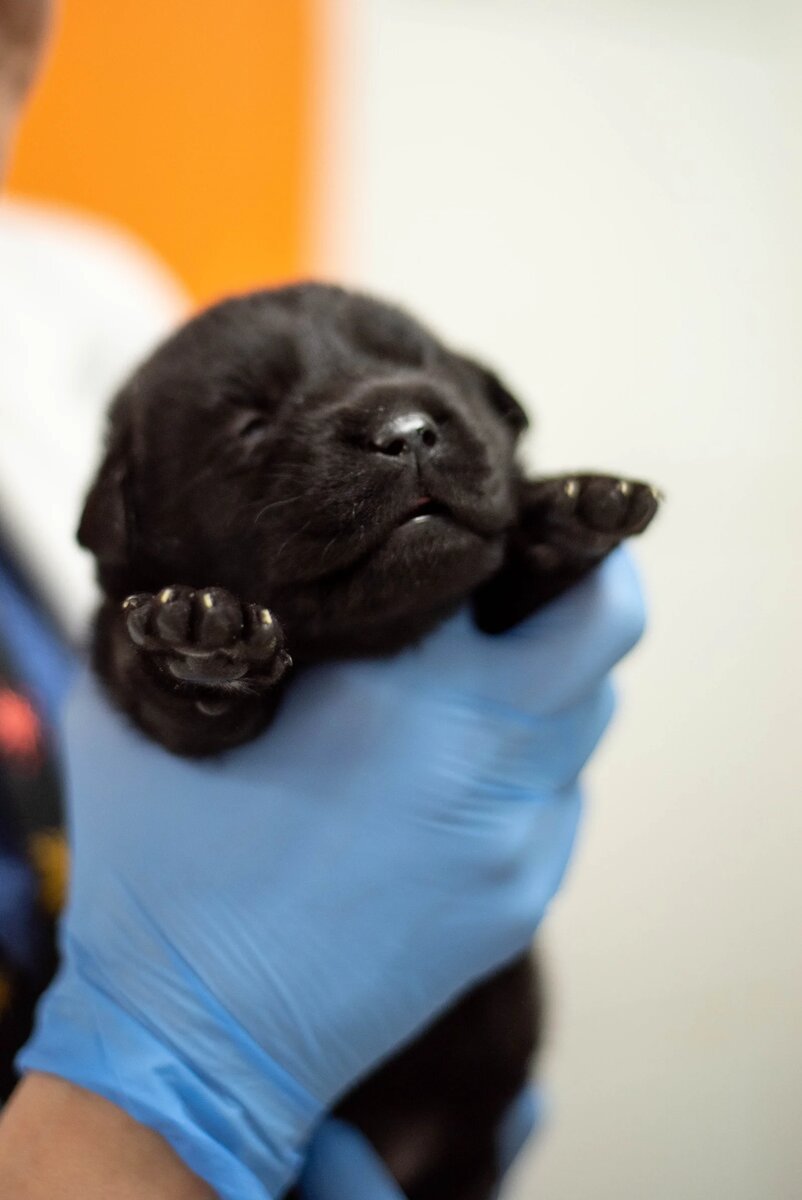 Малышка родилась абсолютно здоровой