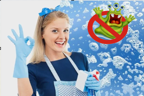 Фея чистоты