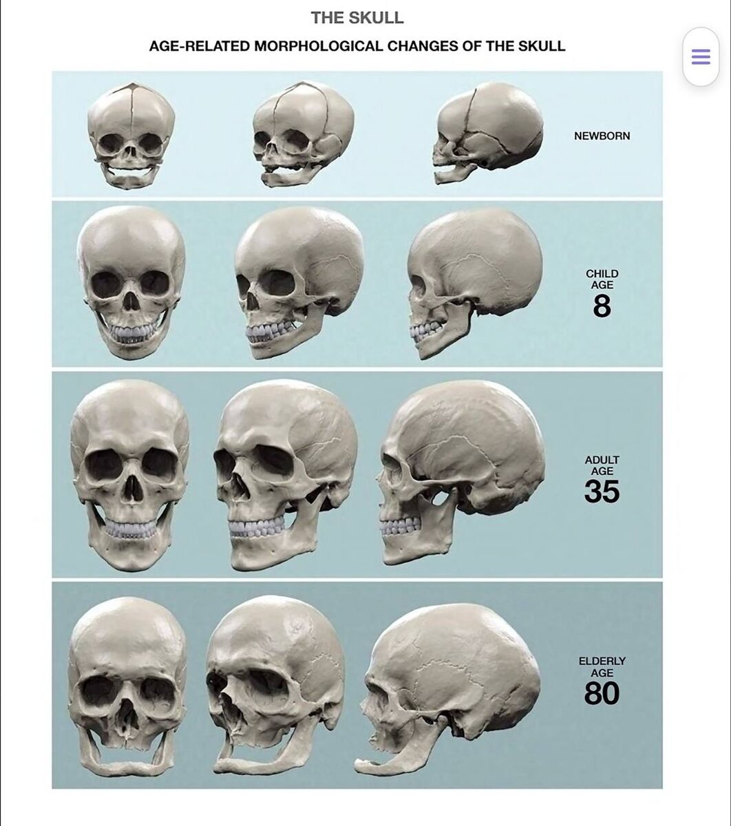 Zarins «Anatomy of Facial Expression 2017»